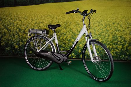 Pedelec Leviatec Deluxe